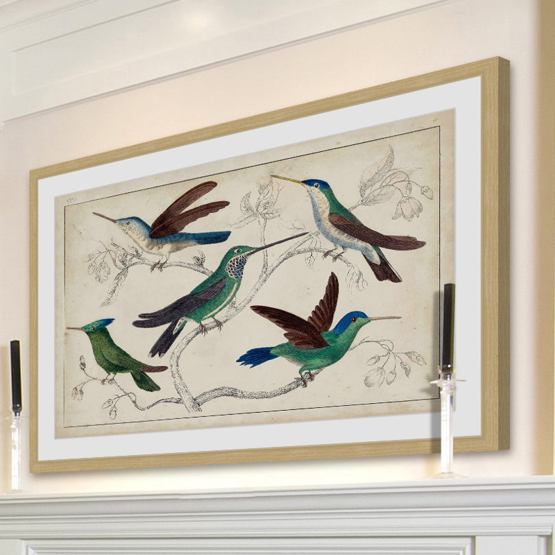 «Hummingbirds», reproduction encadrée, H 24 po x l 36 po x P 1,5 po