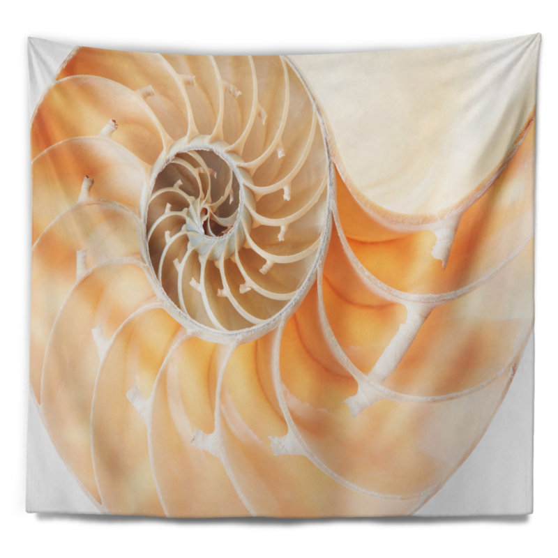Tapisserie de coquillage nautilus brown light, H 32 po x l 39 po