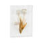 Porcelain Flowers