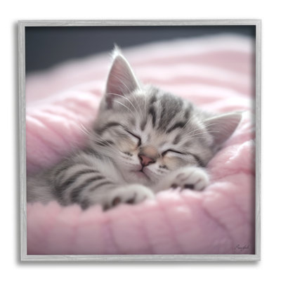 «Soft Kitten Tucked In» par Roozbeh, reproduction de photo sur toile
