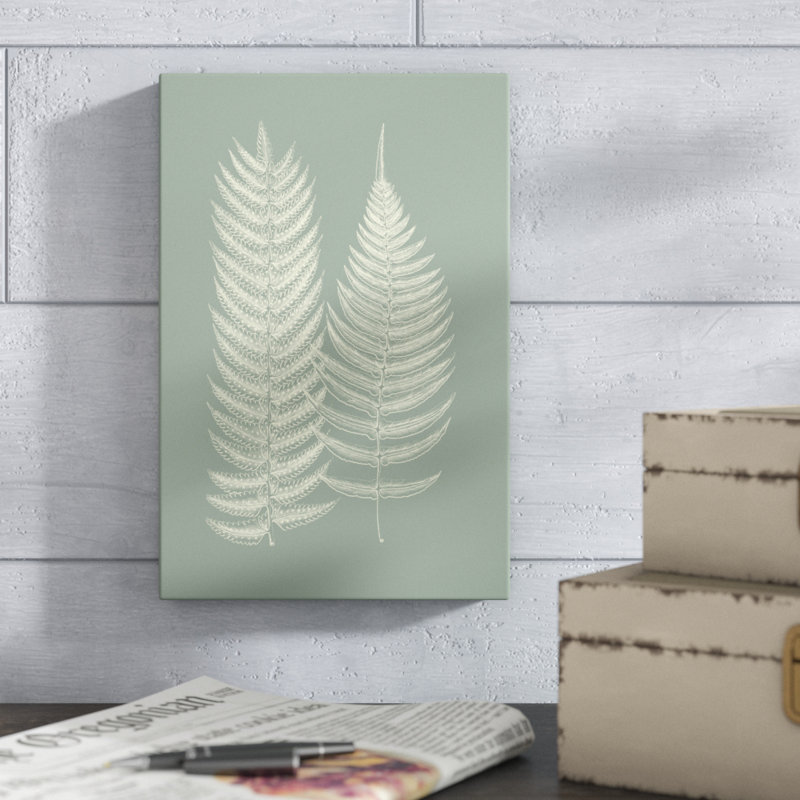 Ferns On Sage IX by Vision Studio - Painting, 30cm H x 20cm W, Wrapped Canvas