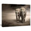 Paire d'éléphants, mouvement - impression-35105254-35105263