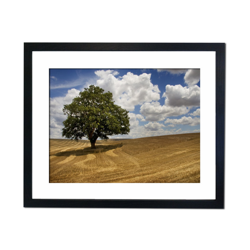 Single Picture Frame Print