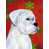 Boxer (blanc)