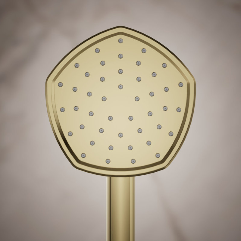 Occasion Single-Function 1.75 Gpm Handshower, Vibrant French Gold