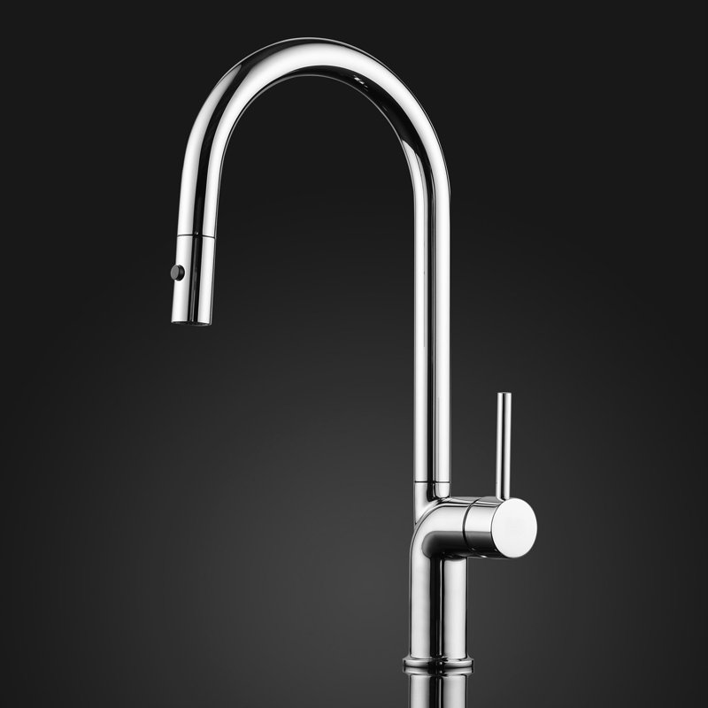 Maestro Bath Swan Pull Out Kitchen Faucet, Chrome