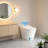 White One-Piece Smart Bidet Toilet, Auto Open/Close Seat With Warm Water & Air Dryer-123060809