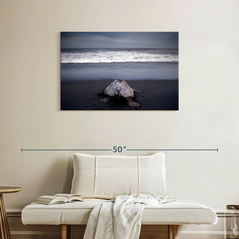 Brampt Ridley Sea Turtle, 24" H x 36" W