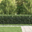 200 cm W Fence Panels Fencing with 1 Panel(s) Included Panel(s) Included-124587394