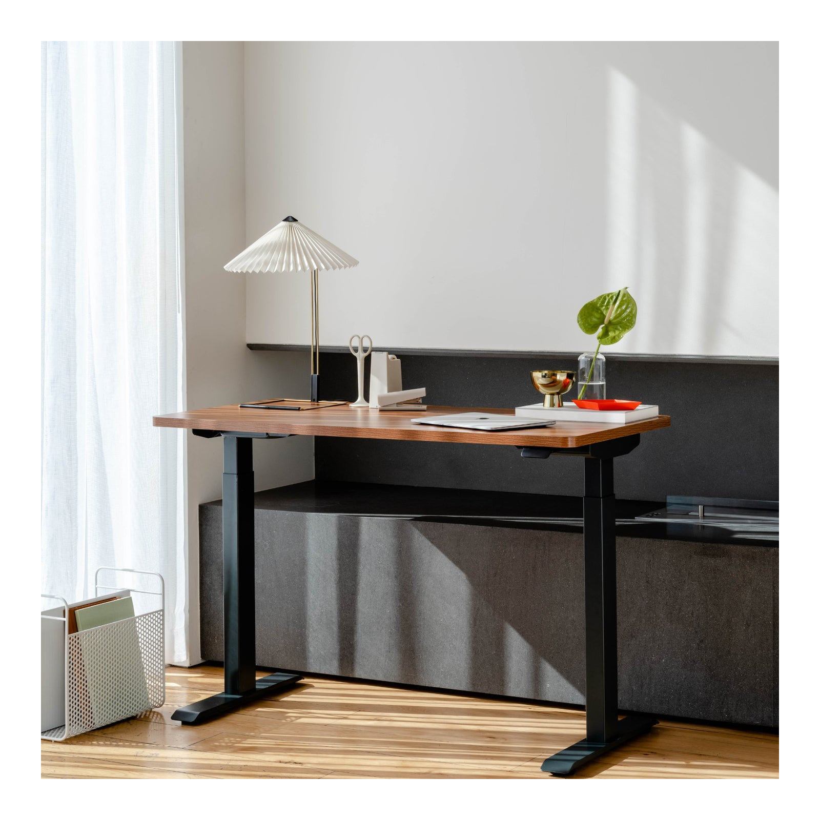Duo Standing Desk, 47.3" H x 36" W x 24" D, Charcoal, Walnut