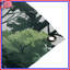 Tapisserie murale «Dense Forest Silhouette»-954724056