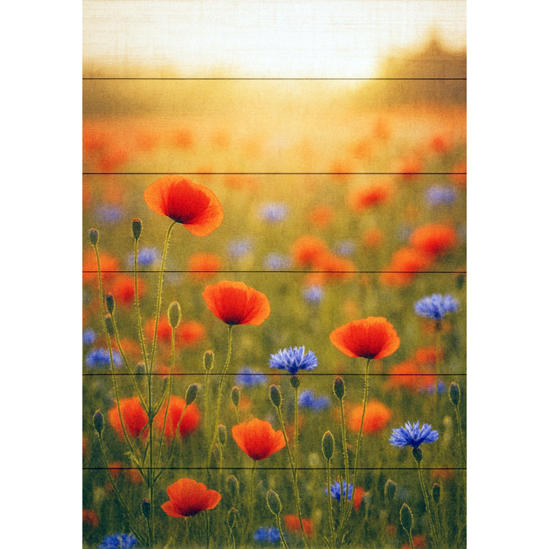 Sunlit Wildflower Meadow - Art sur toile de bois rustique