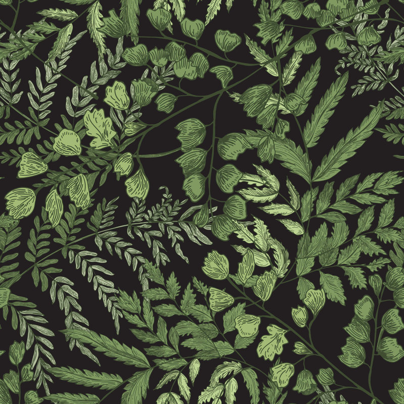 Rouleau de papier peint adhésif Baucom Ferns, L 10,42 pi x l 25 po
