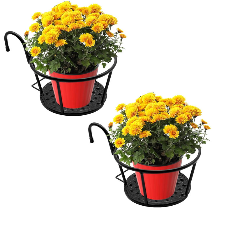 Compare Similar Items