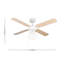 Jaydn 107cm Ceiling Fan with Light Kit-28709053