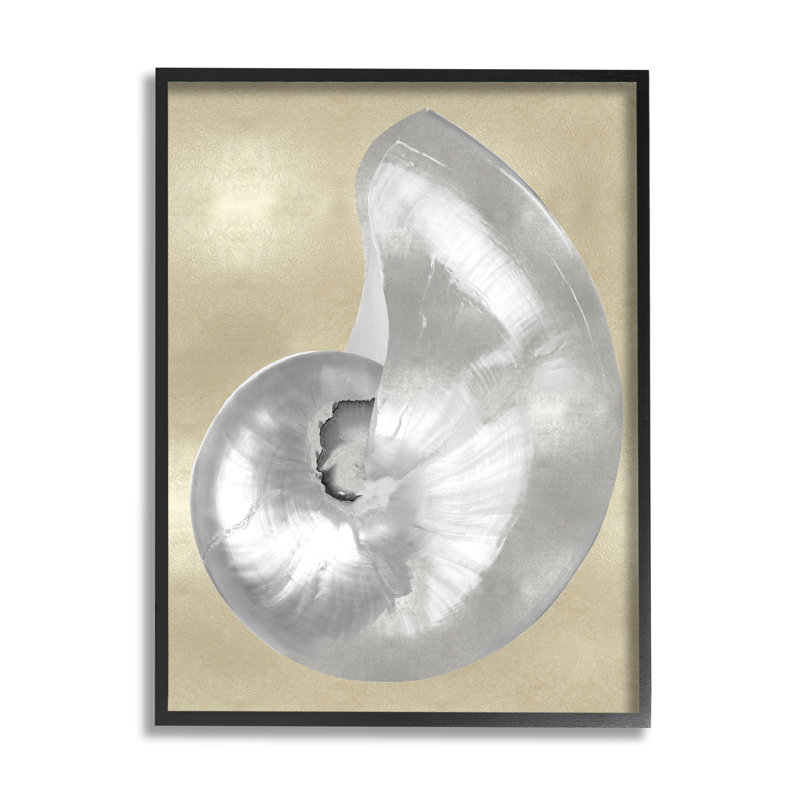 Glam Nautilus coquille gris doux neutre sur beige, Giclée encadrée noir minuit, H 14 po x l 11 po