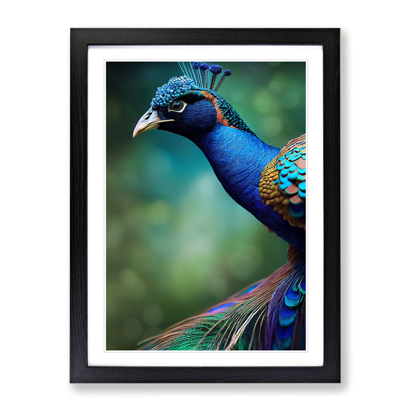 Captivating Peacock - Single Picture Frame Print, Black Framed, 64cm H x 46cm W x 2cm D