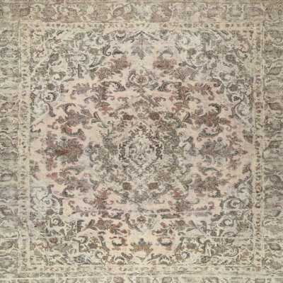 Oriental Indoor Rug