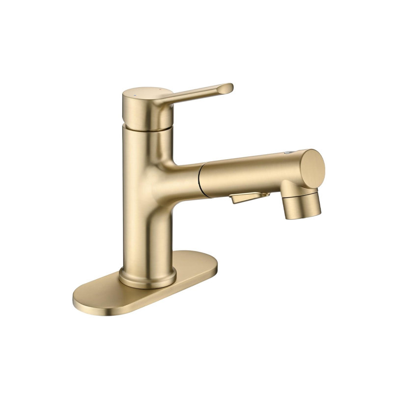 Single Handle Stainless Steel Bathroom Sink Faucet with Pull-Out Sprayer, Brushed Gold