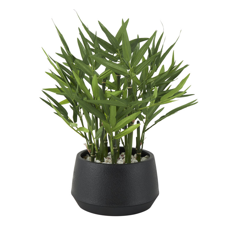 Lathan plante en bambou en pot 13,4 po Lathan