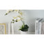 Arrangement de soie orchidée en pot-1709239945