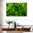 Harnek Lime Heart I-108876083