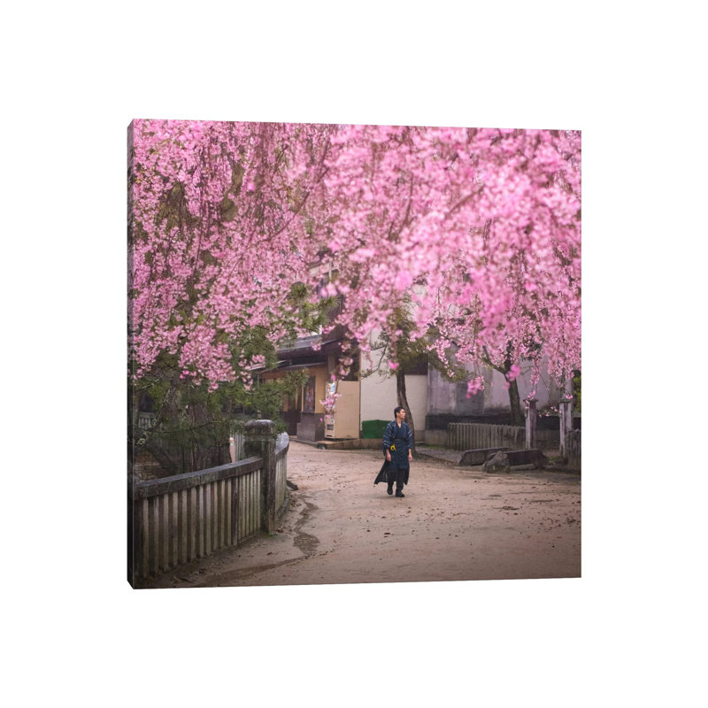 Spring In Japan II by Daniel Kordan - Wrapped Canvas Print, 45.72 cm H x 45.72 cm W x 3.175 cm D