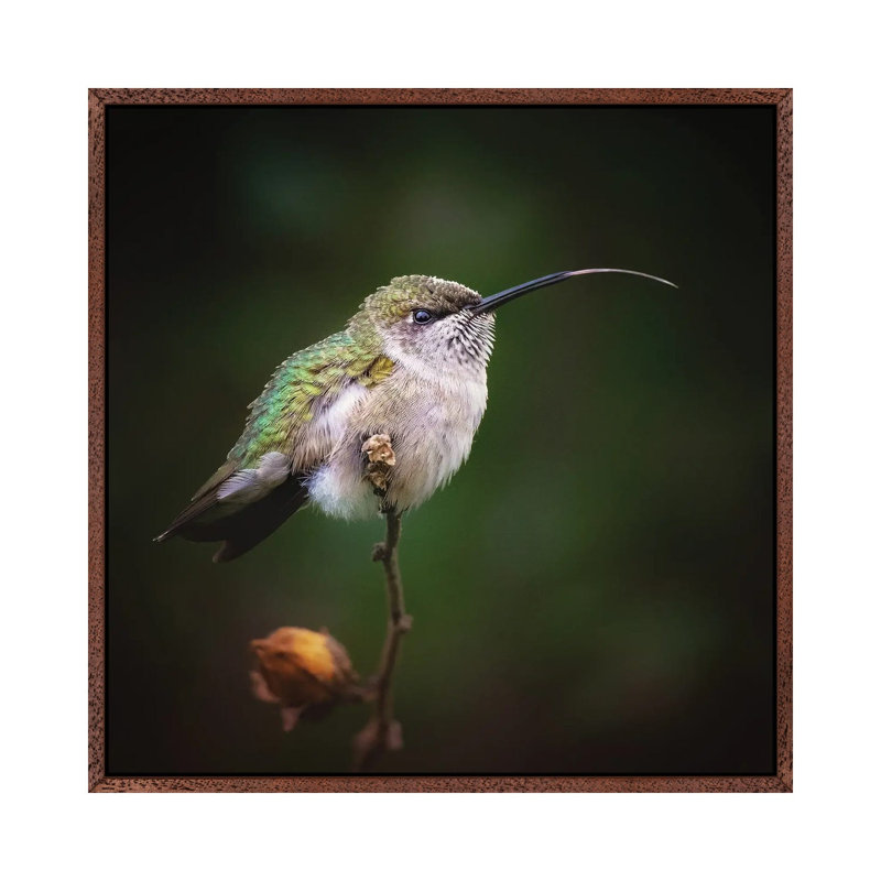 Shimmer by Rupa Sutton - Gallery-Wrapped Canvas Giclée on Canvas, Classic Wood Framed, 66.04 cm H x 66.04 cm W