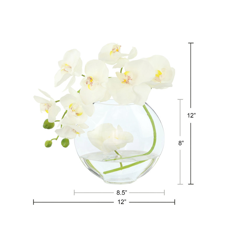 Orchid in Flat Glass Vase