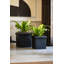 Block Classic L, noir