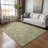 Machine Washable Indoor/Outdoor Lafferty ACN2227 Panel Rug-996585507