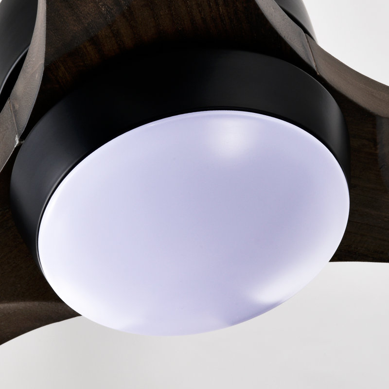 Ventilateur de plafond en bois massif 52 po avec lumières DEL, Noir mat avec pales noires