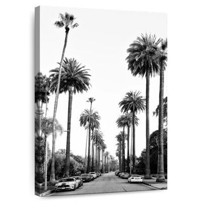 Aime Black California - Los Angeles Palm Alley