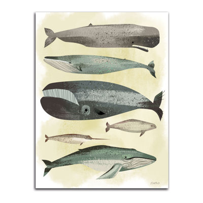 « baleines », impression