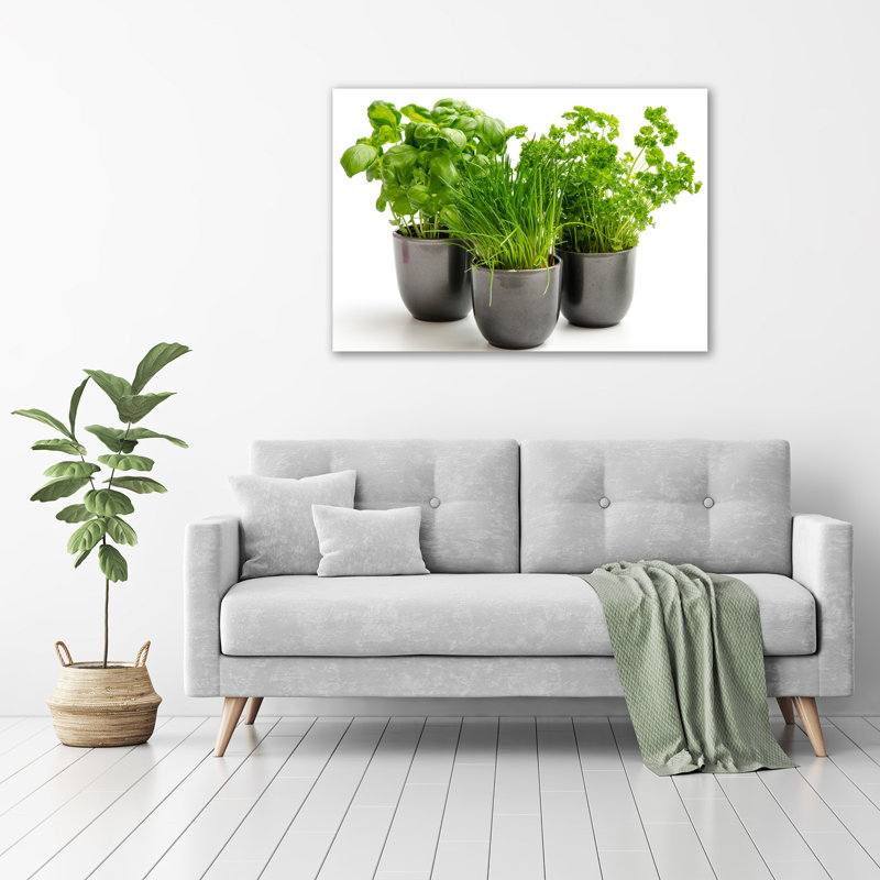Herbs In Pots - Wrapped Canvas Print