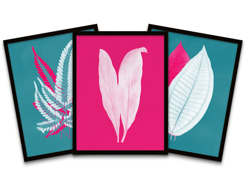 Botanics Leaves Ferns - 3 Piece Print Set