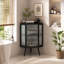 Accent Cabinet