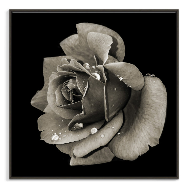 Print on Canvas, Black Floater Frame, 76cm H x 76cm W