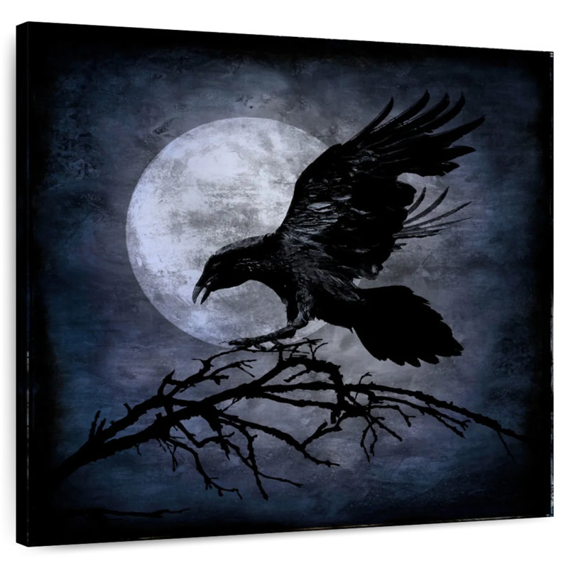 Corbeau au clair de lune Kelan, H 20 po x l 20 po