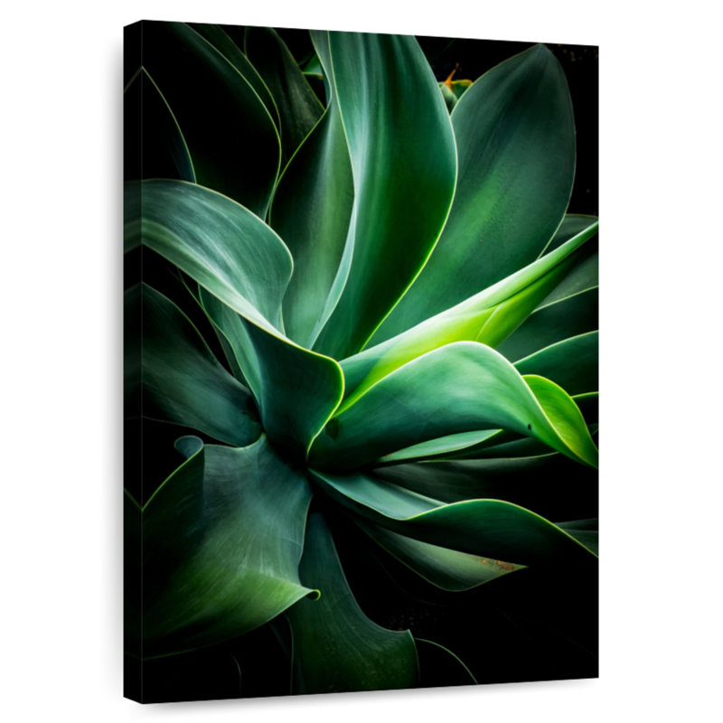 Harnek Macro Curvy Leaves, 12" H x 8" W