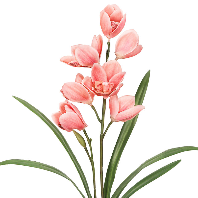 Vaporisateur de tige de plante artificielle Cymbidium Orchid, Corail