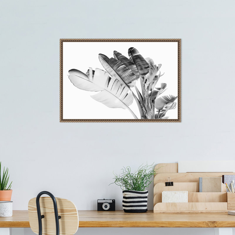 «Tropical Velvet I» par Ryan Hartson, reproduction d'art sur toile encadrée, H 16 po x l 23 po