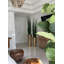 Faux Snake Plant in Planter-1019304357