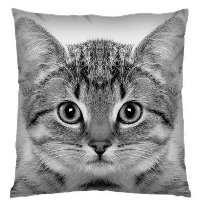 Bedlington Square Cushion Cover