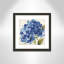 «Geatano Hampton Hydrangea II», reproduction de peinture à l'aquarelle encadrée-385399519