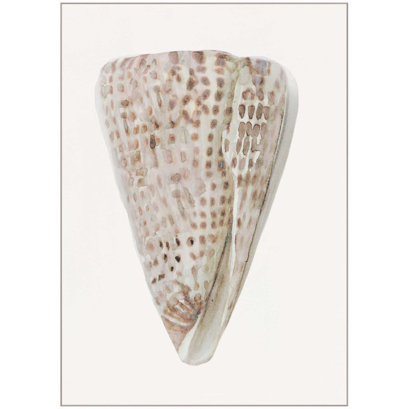 Sea Shell 10 Print, 61" H x 44" W, White Floater Framed