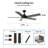 Johnye 52'' Ceiling Fan with LED Lights-1539056357