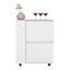 Chariot-bar, salon, blanc-129745222