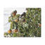 No Frame Print on Canvas-511253730