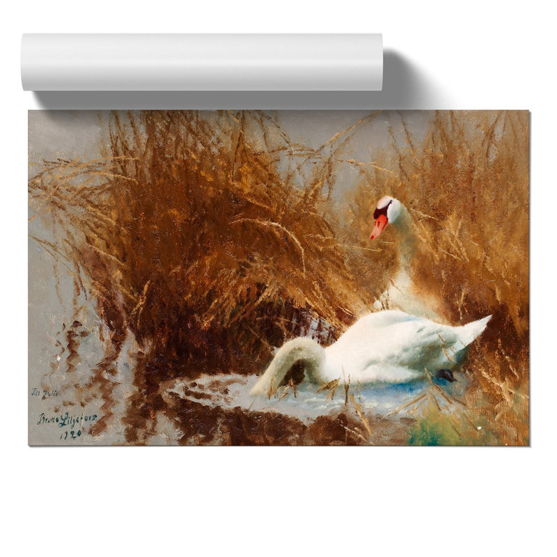 Two White Swans by Bruno Liljefors - Frameless Print, 30cm H x 42cm W x 0.1cm D